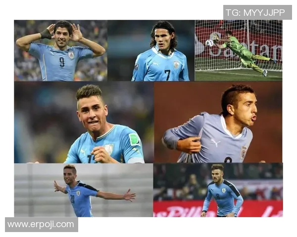 聚焦足球球星贝壳的成长历程与辉煌成就全景解读